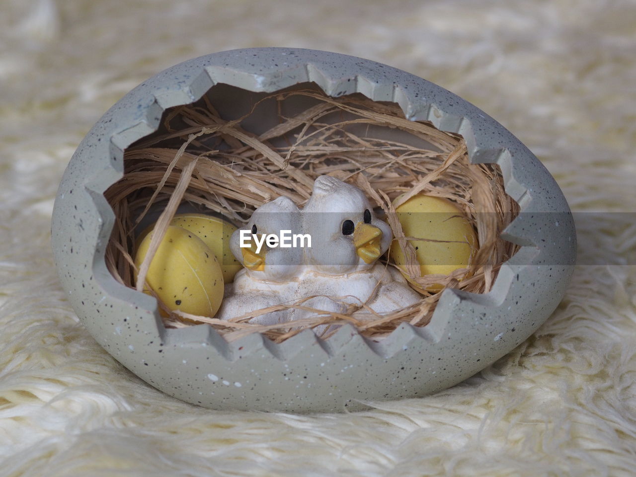 HIGH ANGLE VIEW OF A BIRD IN NEST