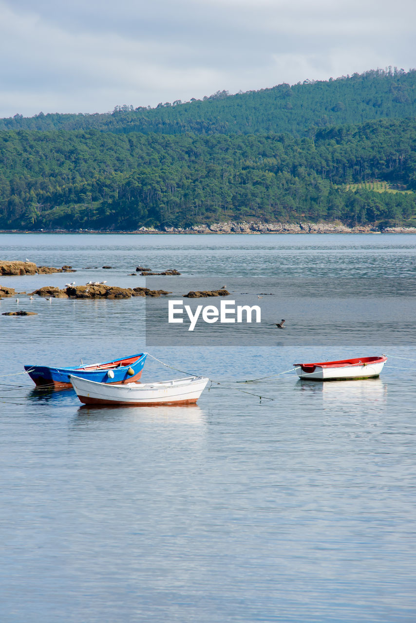 BOAT IN SEA