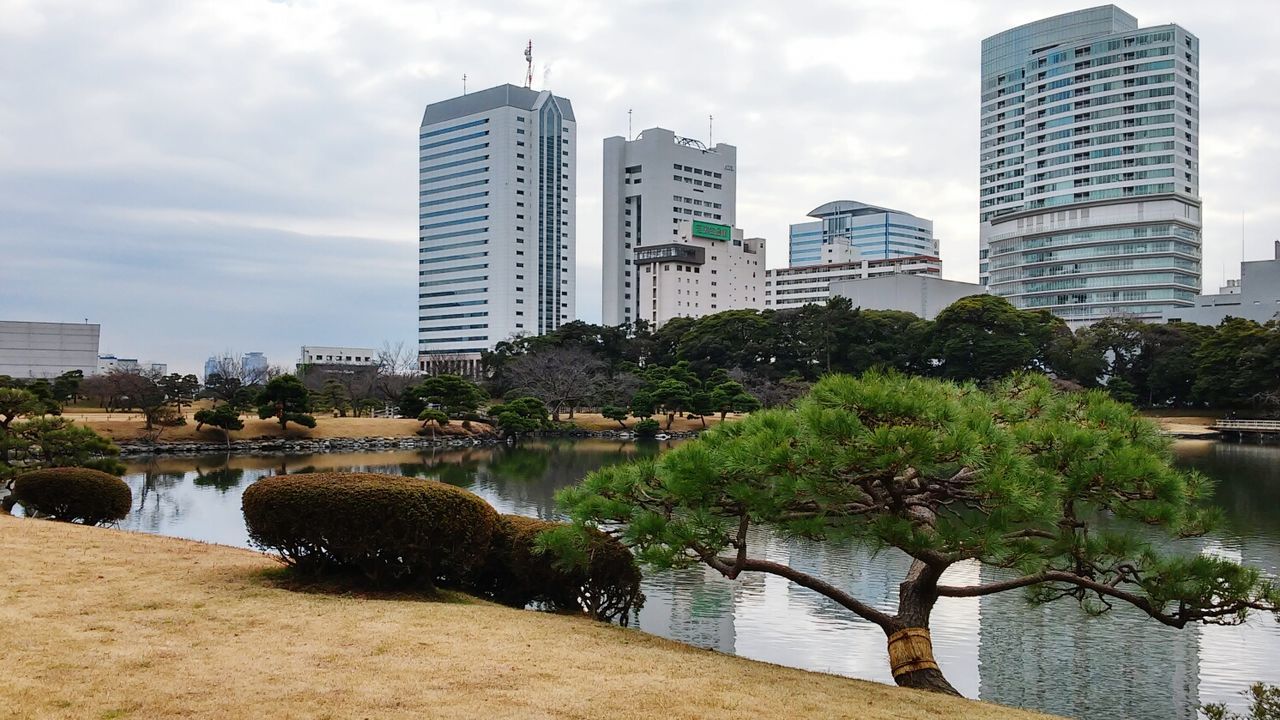 City buildings against sky