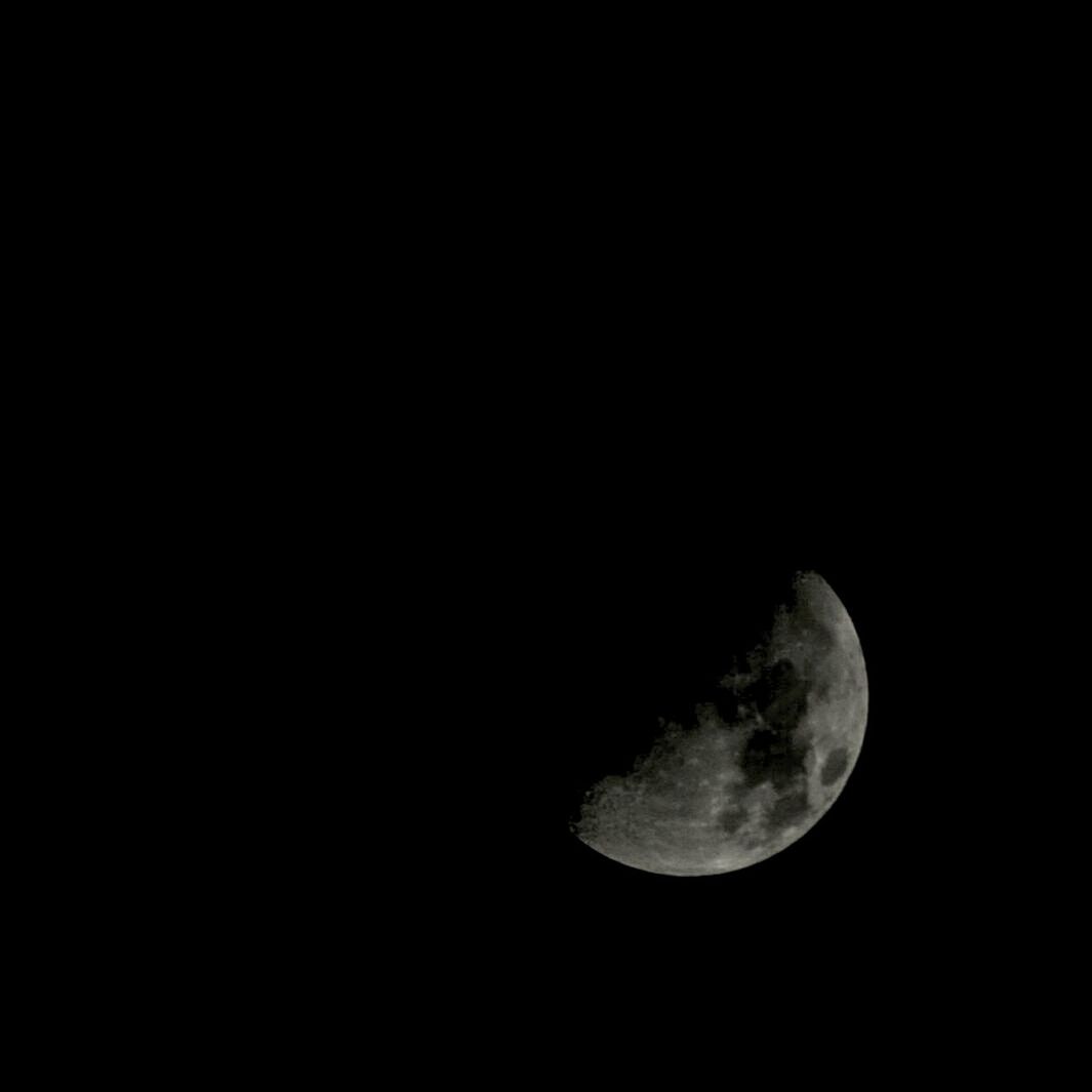 LOW ANGLE VIEW OF MOON IN SKY AT NIGHT