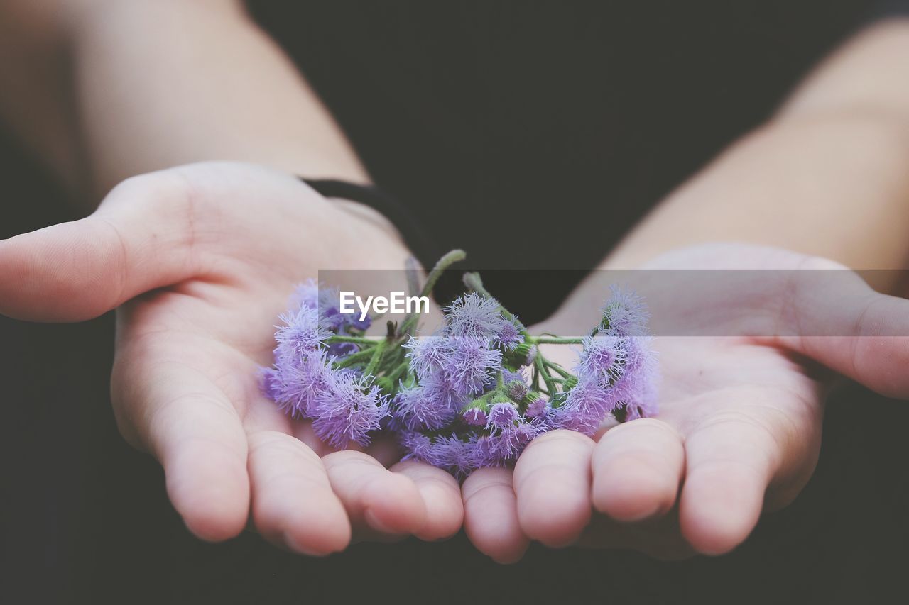 Midsection of man holding flowers