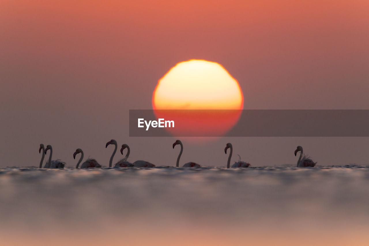 Scenic view of sunset over sea