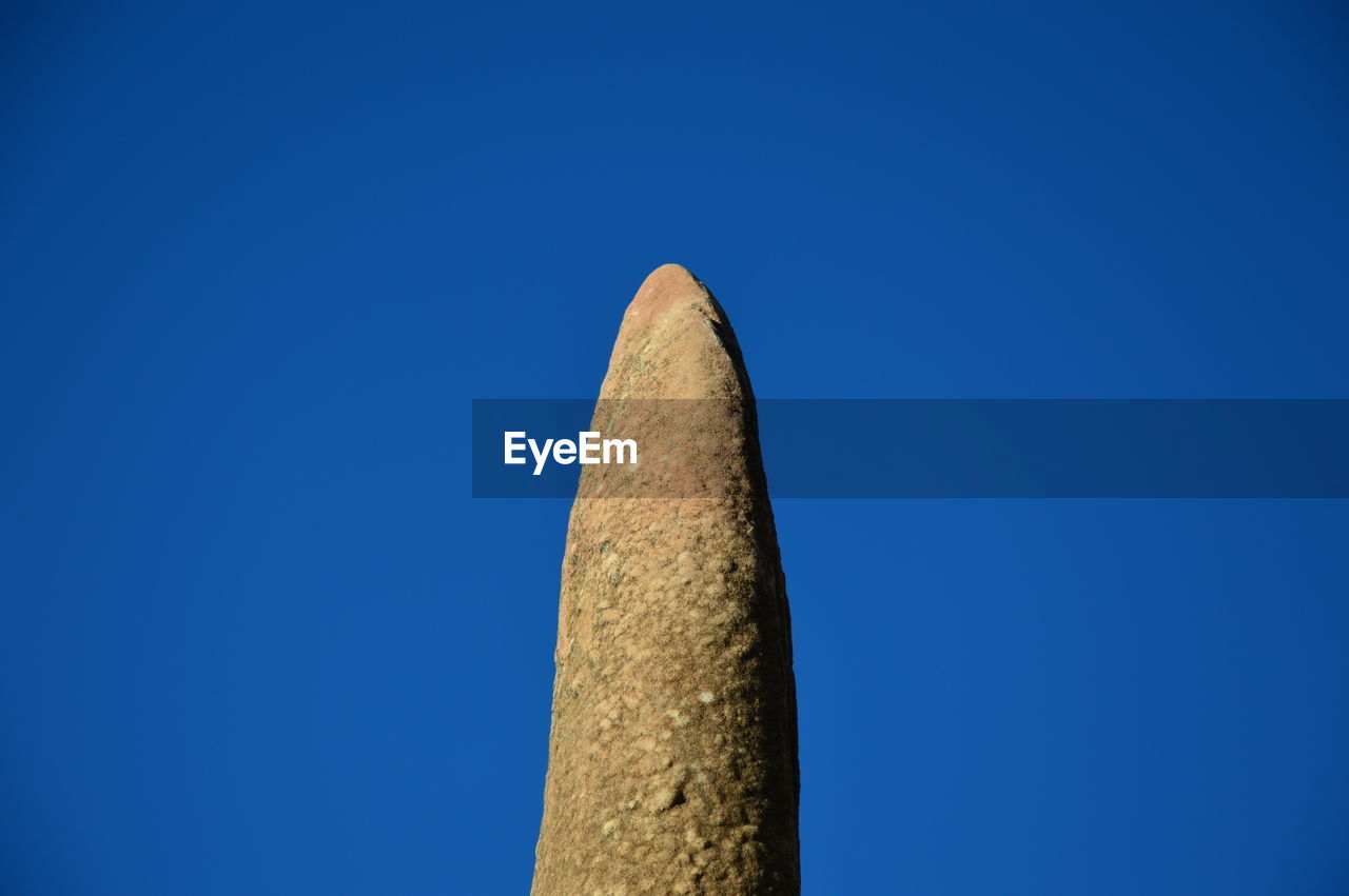 LOW ANGLE VIEW OF BLUE SKY AND TREE AGAINST CLEAR BACKGROUND