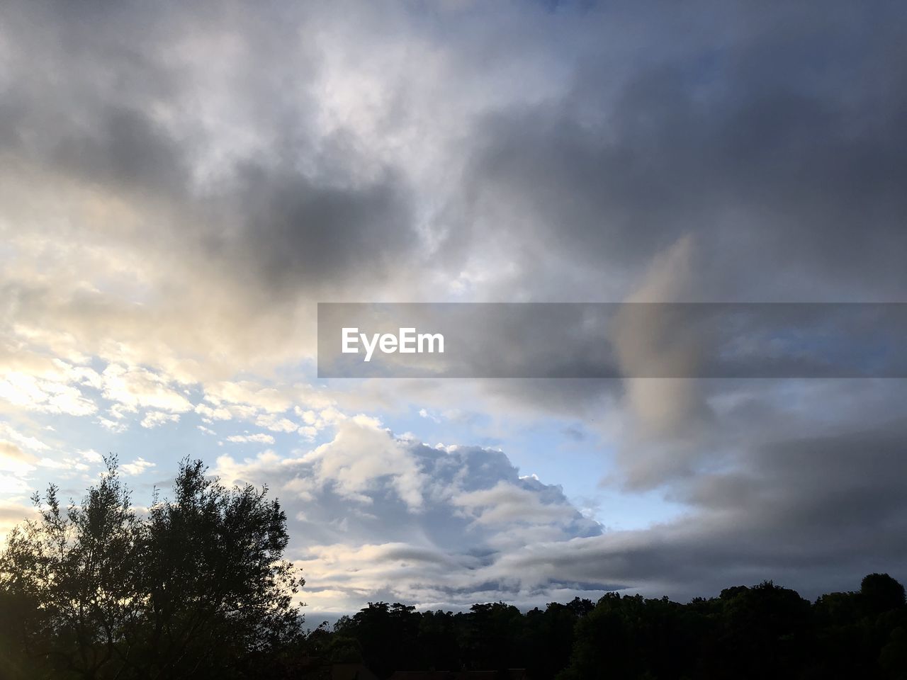 LOW ANGLE VIEW OF SILHOUETTE TREE AGAINST SKY