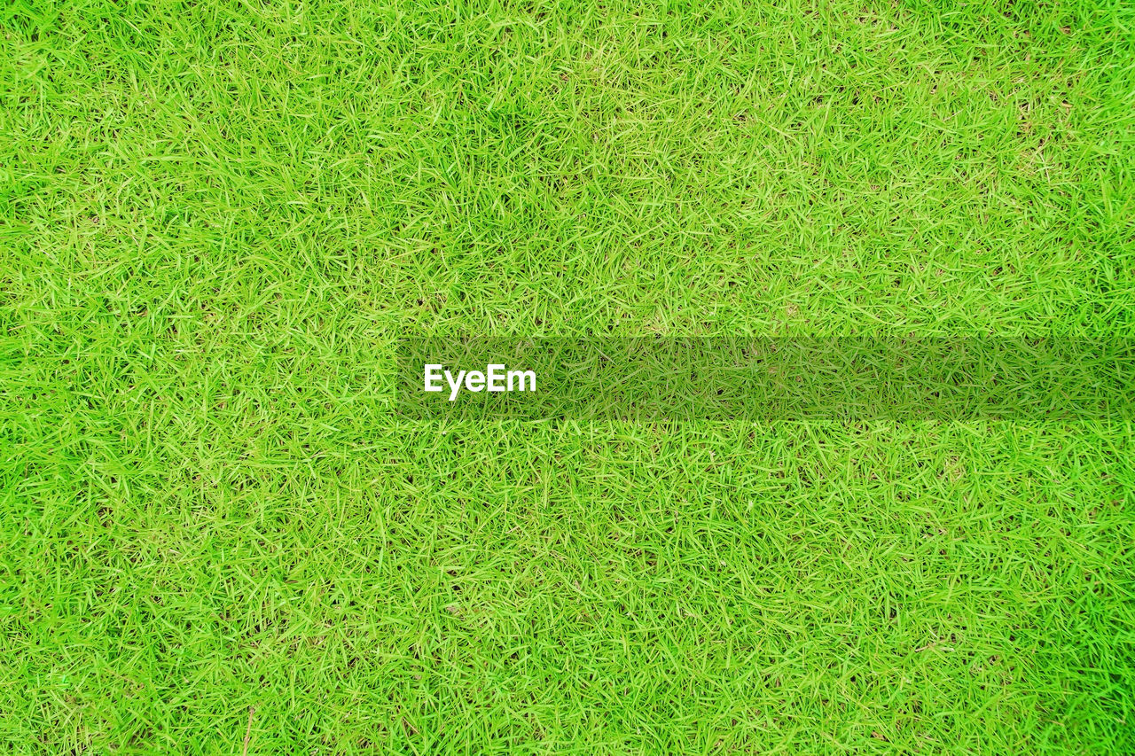 Green grass texture background, green lawn, grass texture, green lawn desktop picture.