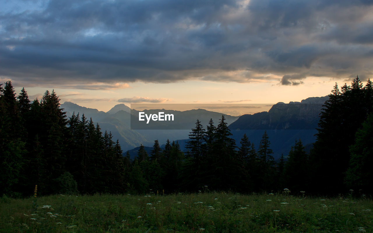 Sunset above a forest in the french alpes