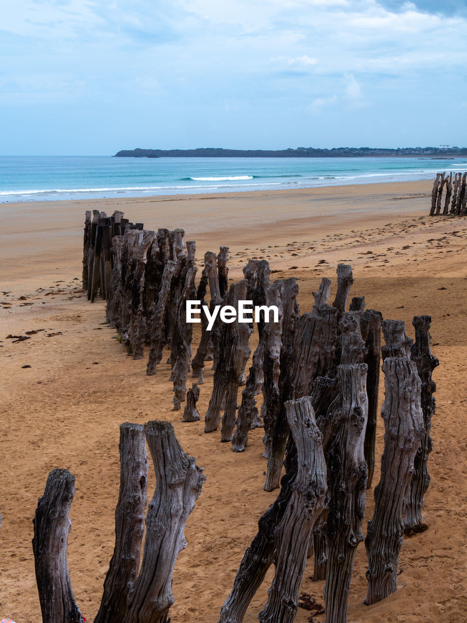 PANORAMIC VIEW OF DRIFTWOOD ON BEACH