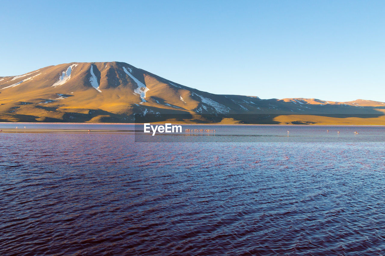 mountain, scenics - nature, landscape, water, sky, beauty in nature, environment, sea, horizon, nature, travel destinations, land, blue, no people, tranquility, tranquil scene, clear sky, travel, mountain range, day, non-urban scene, reflection, outdoors, coast, volcano, snow, cold temperature, dusk, tourism, shore, winter, sunny, copy space