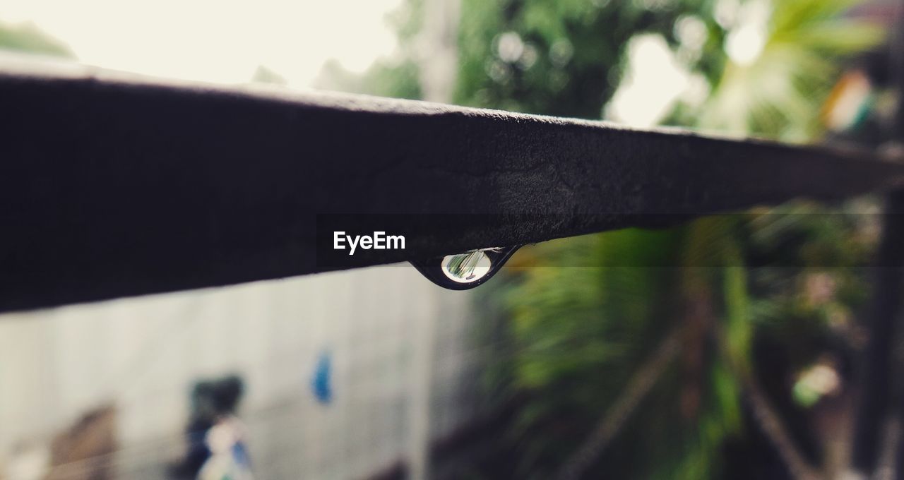 Close-up of water drops on railing