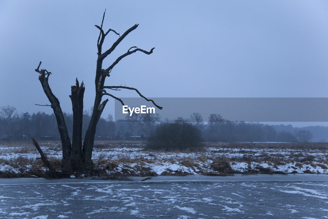 Bare trees on frozen landscape against sky during winter