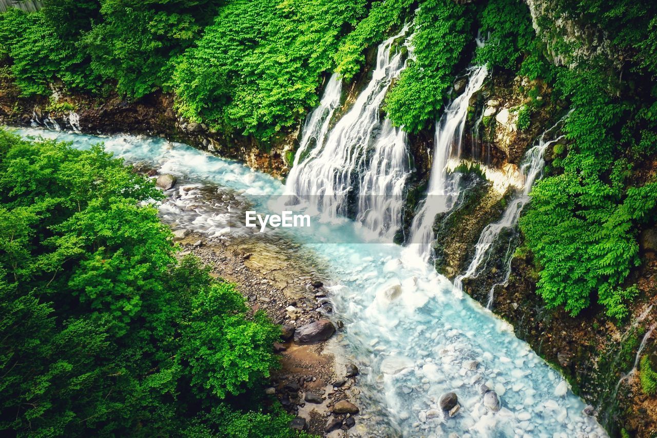 Scenic view of waterfall in forest