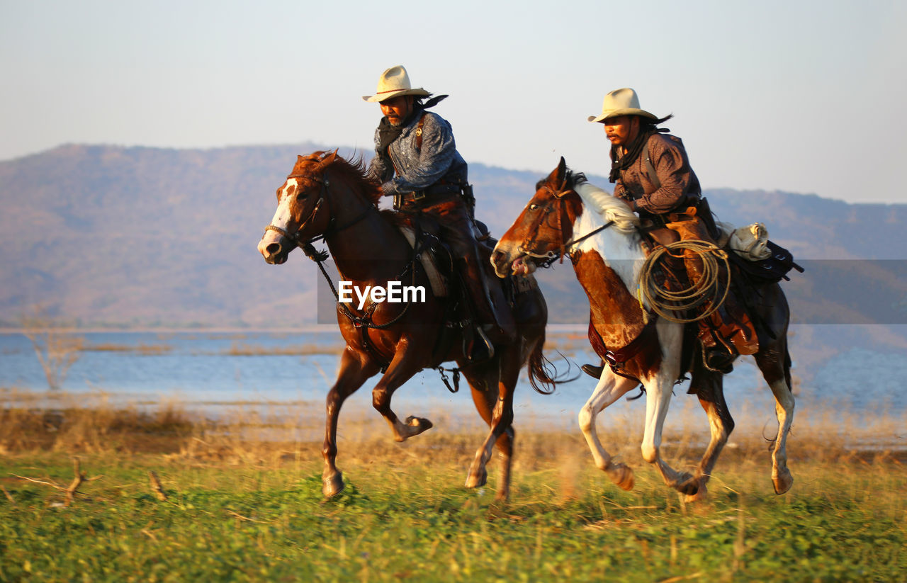 Men riding horse on grass