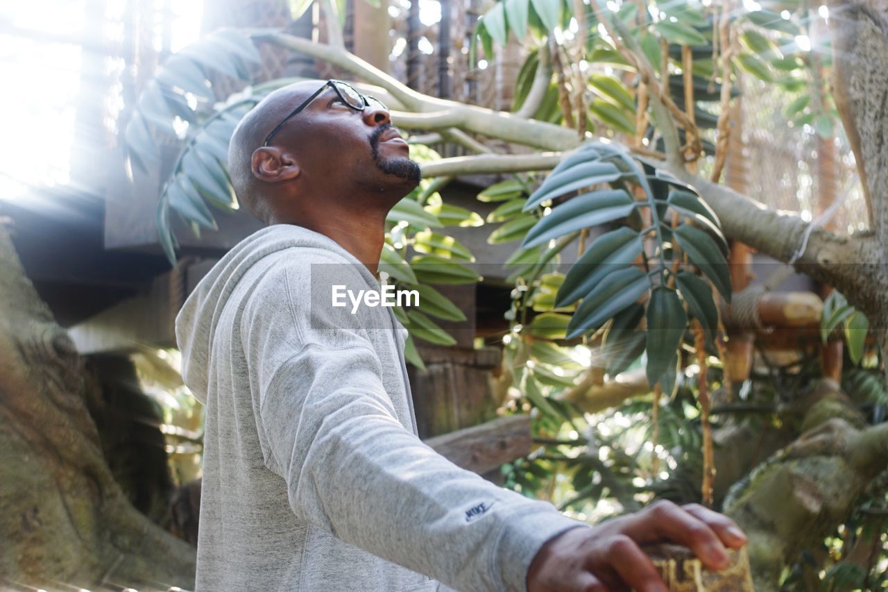 Side view of young man looking through plants