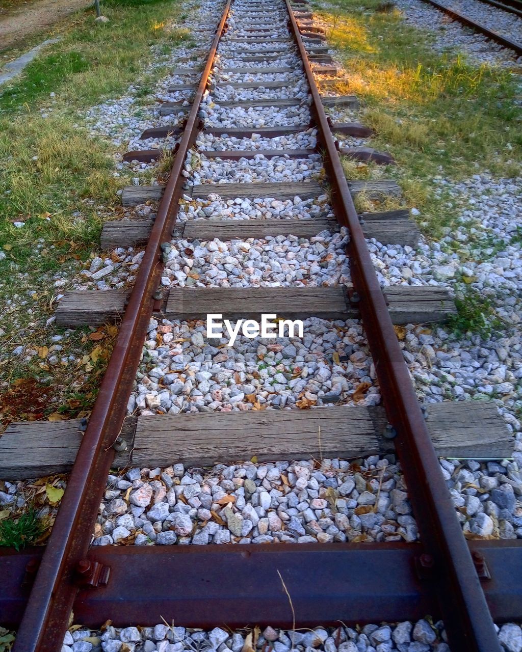 HIGH ANGLE VIEW OF RAILROAD TRACK AMIDST TREES