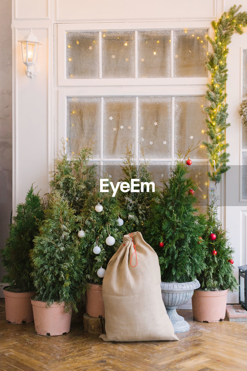 Christmas trees in pots near the house and a bag of santa claus with gifts
