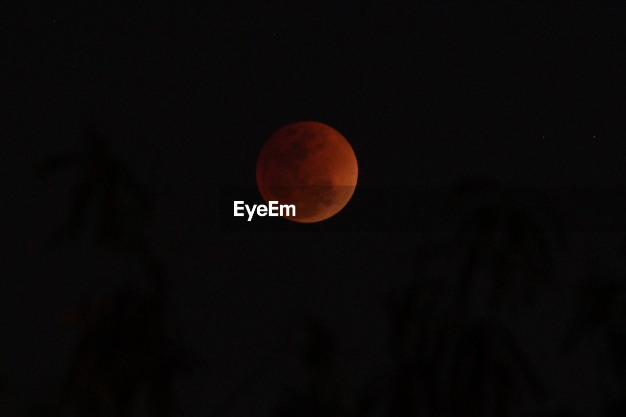 LOW ANGLE VIEW OF MOON IN SKY