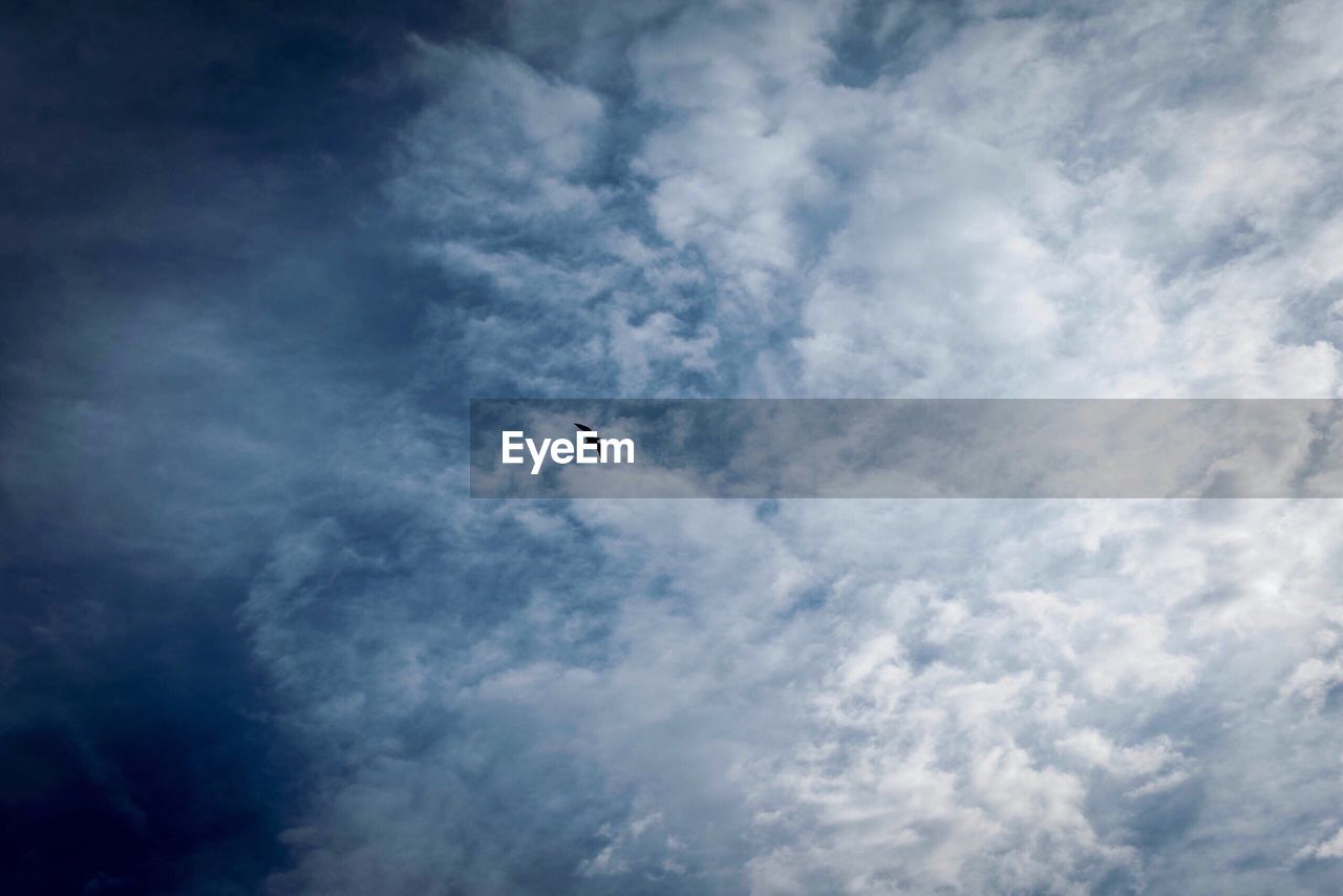 Low angle view of bird flying against cloudy sky