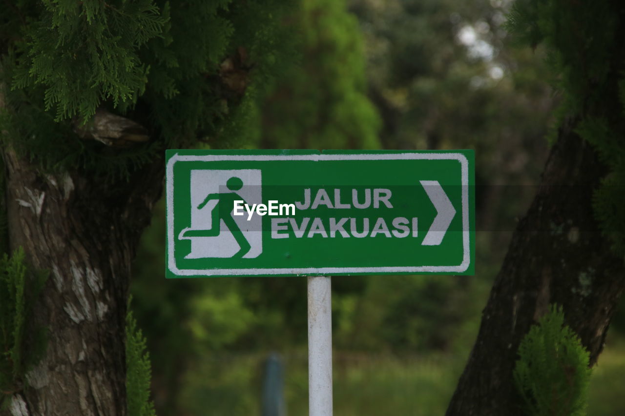 Close-up of road sign on tree trunk