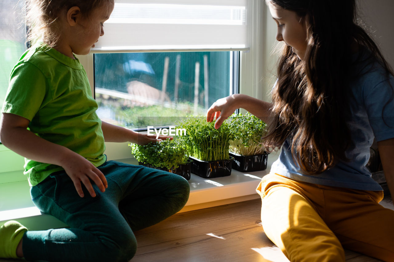 Sibling touching plants at home
