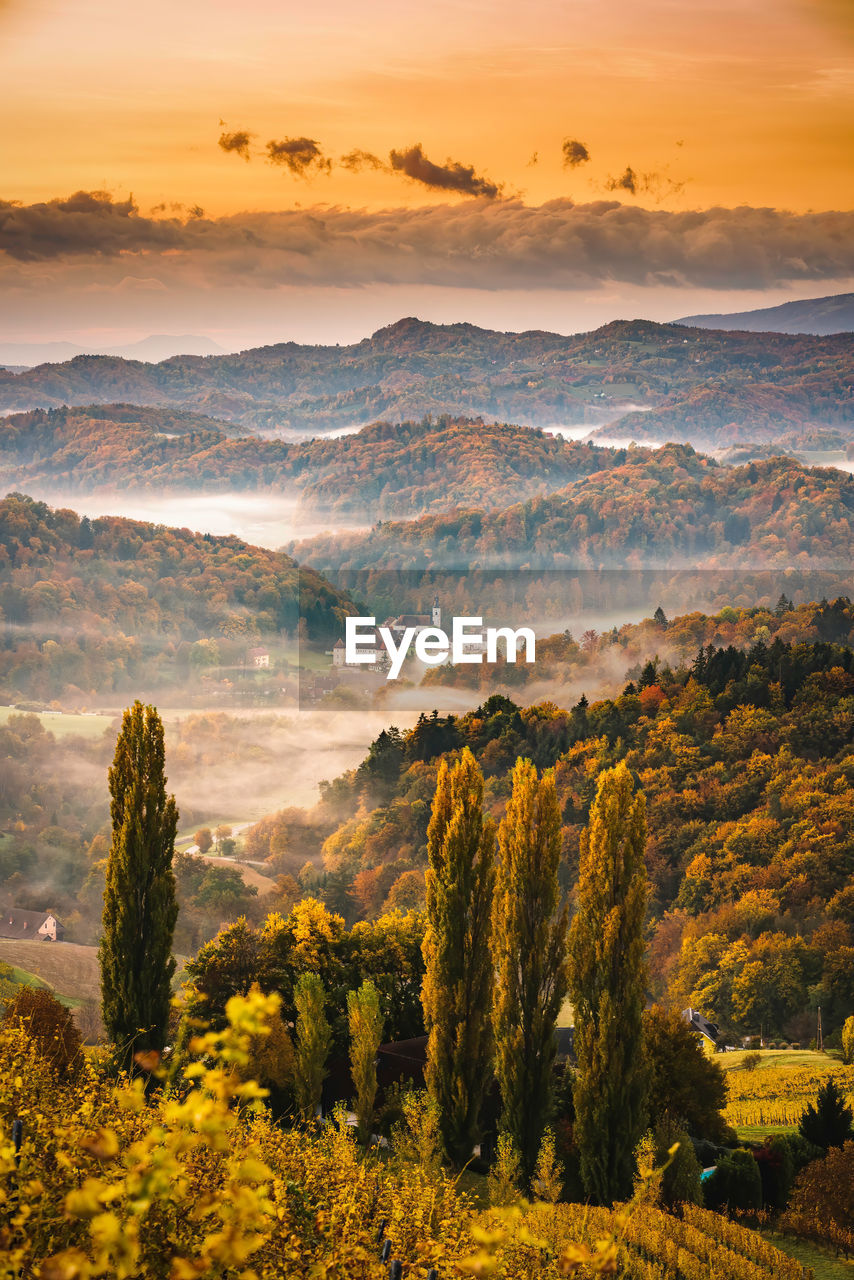 South styria vineyards landscape, tuscany of austria. sunrise in autumn. colorful trees