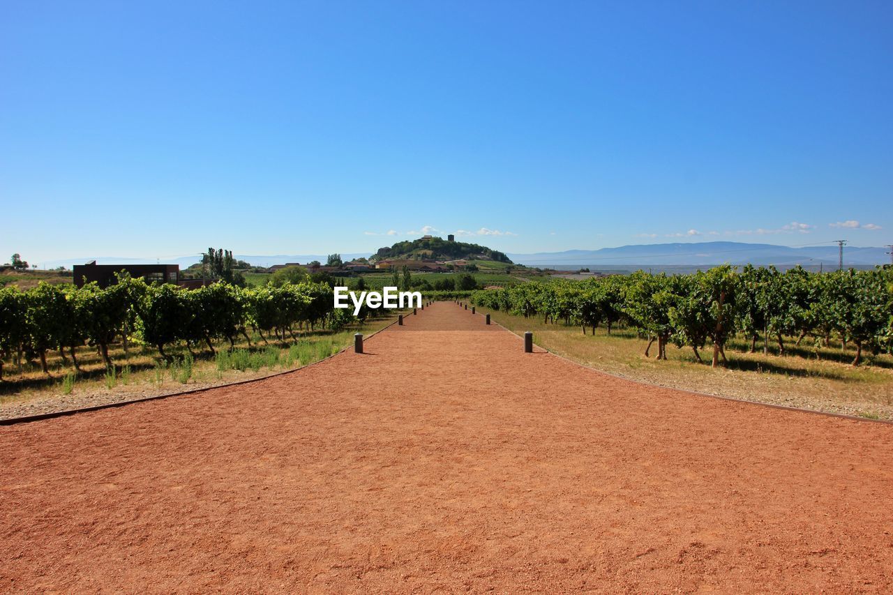 Scenic view of landscape against clear blue sky