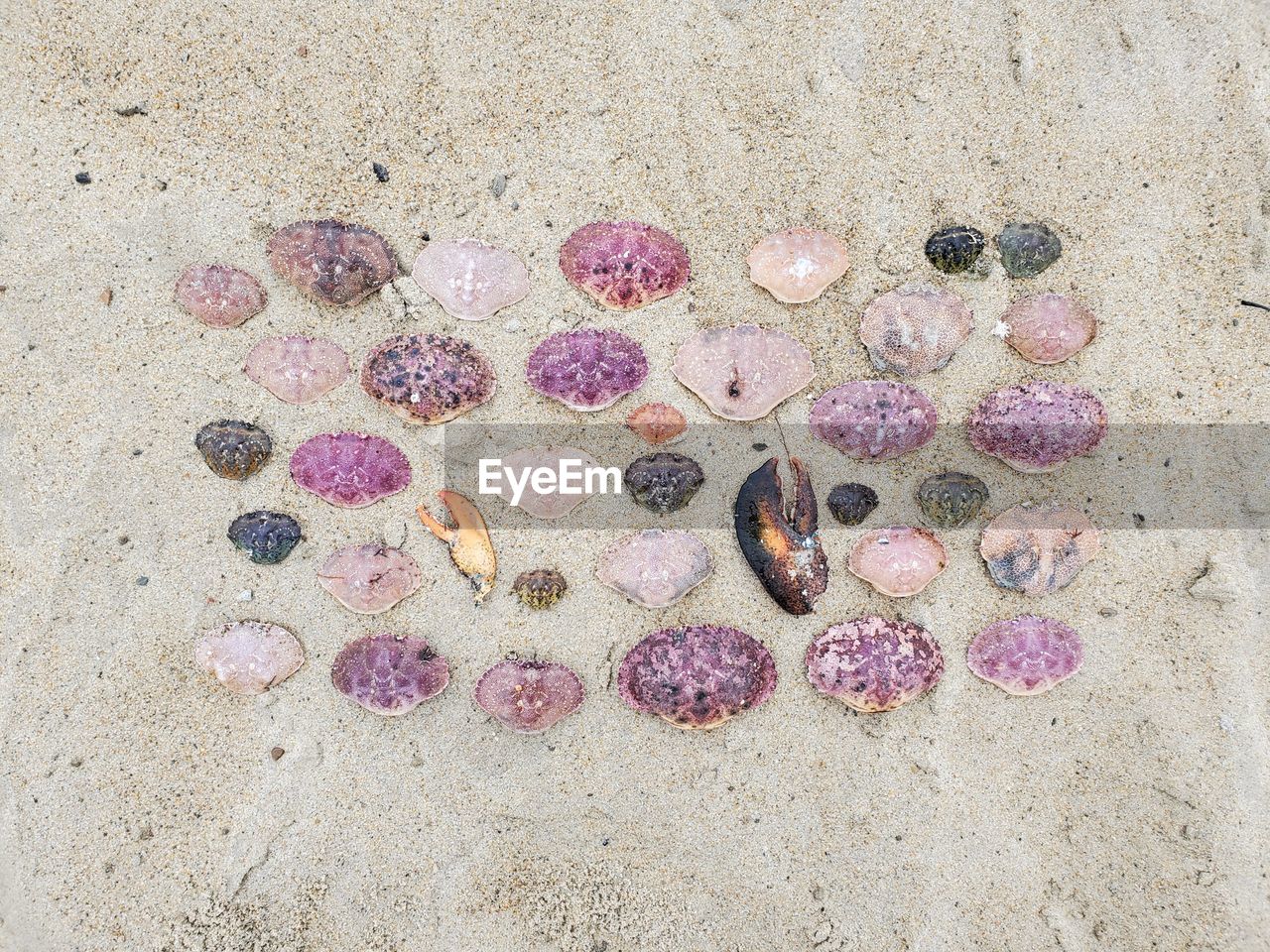 High angle view of pebbles on sand