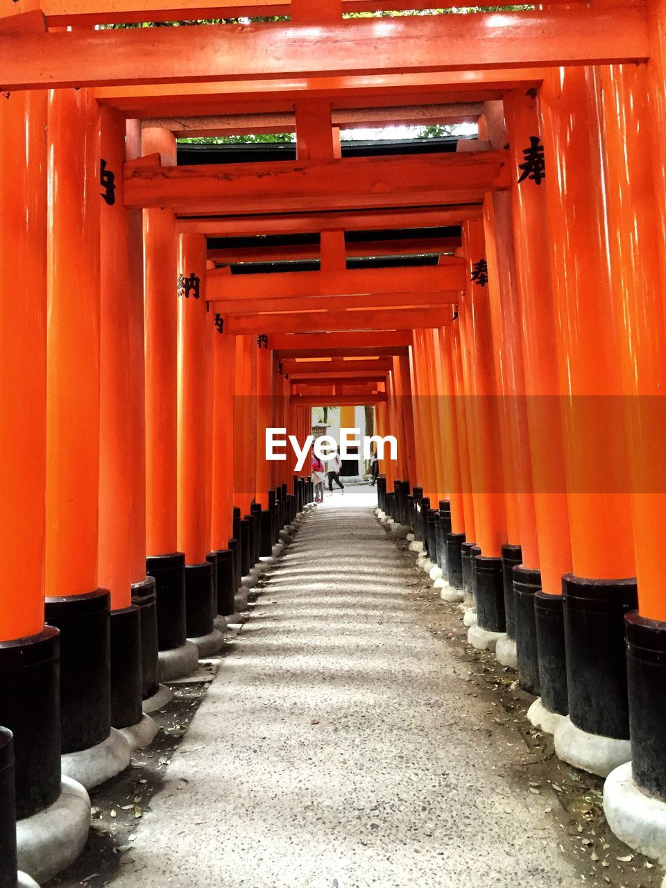 Columns at the shinto shrine