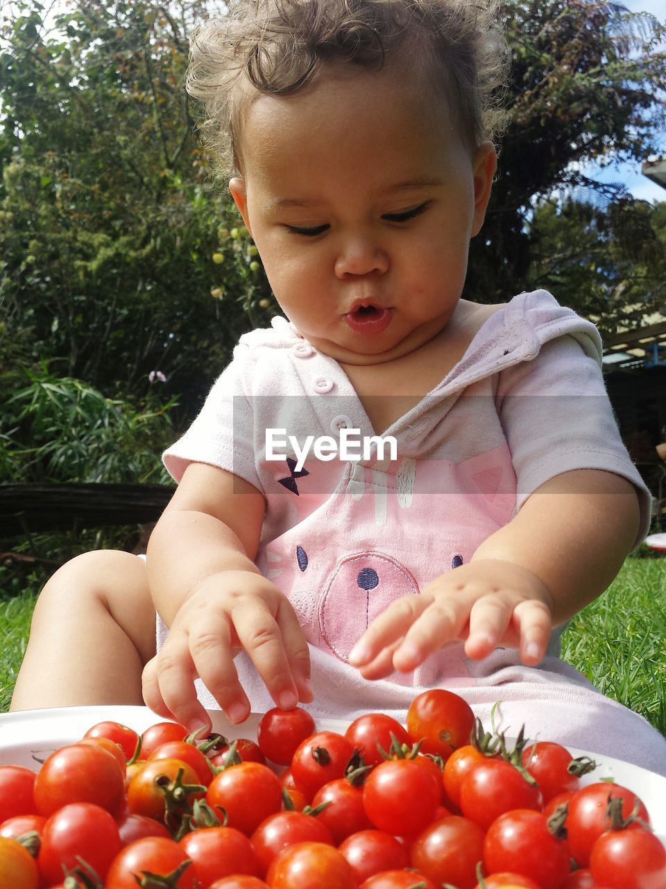 Cute baby sitting by fresh cherry tomatoes in back yard