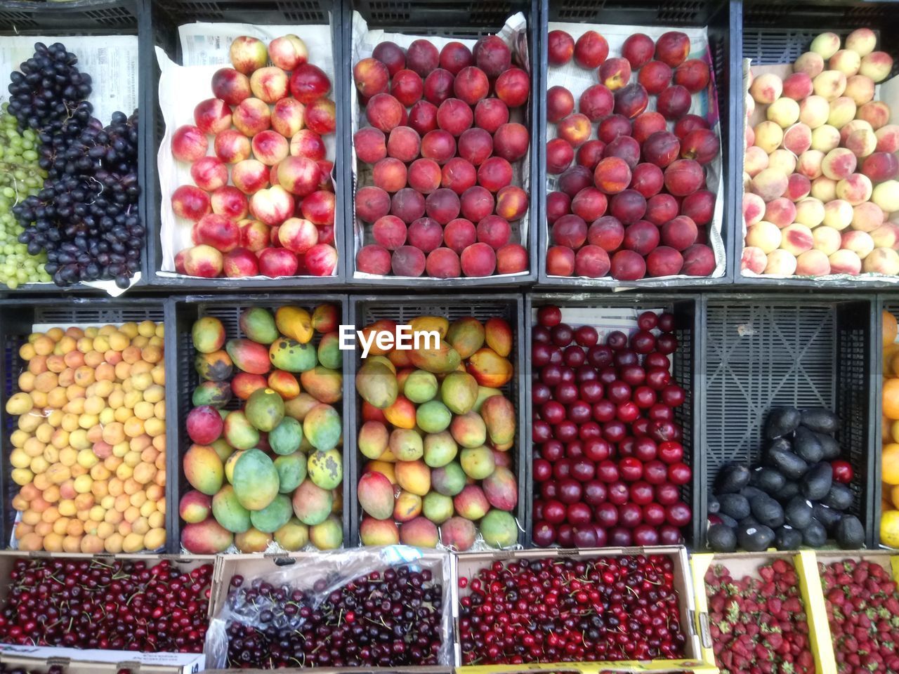 Fruits for sale in market stall