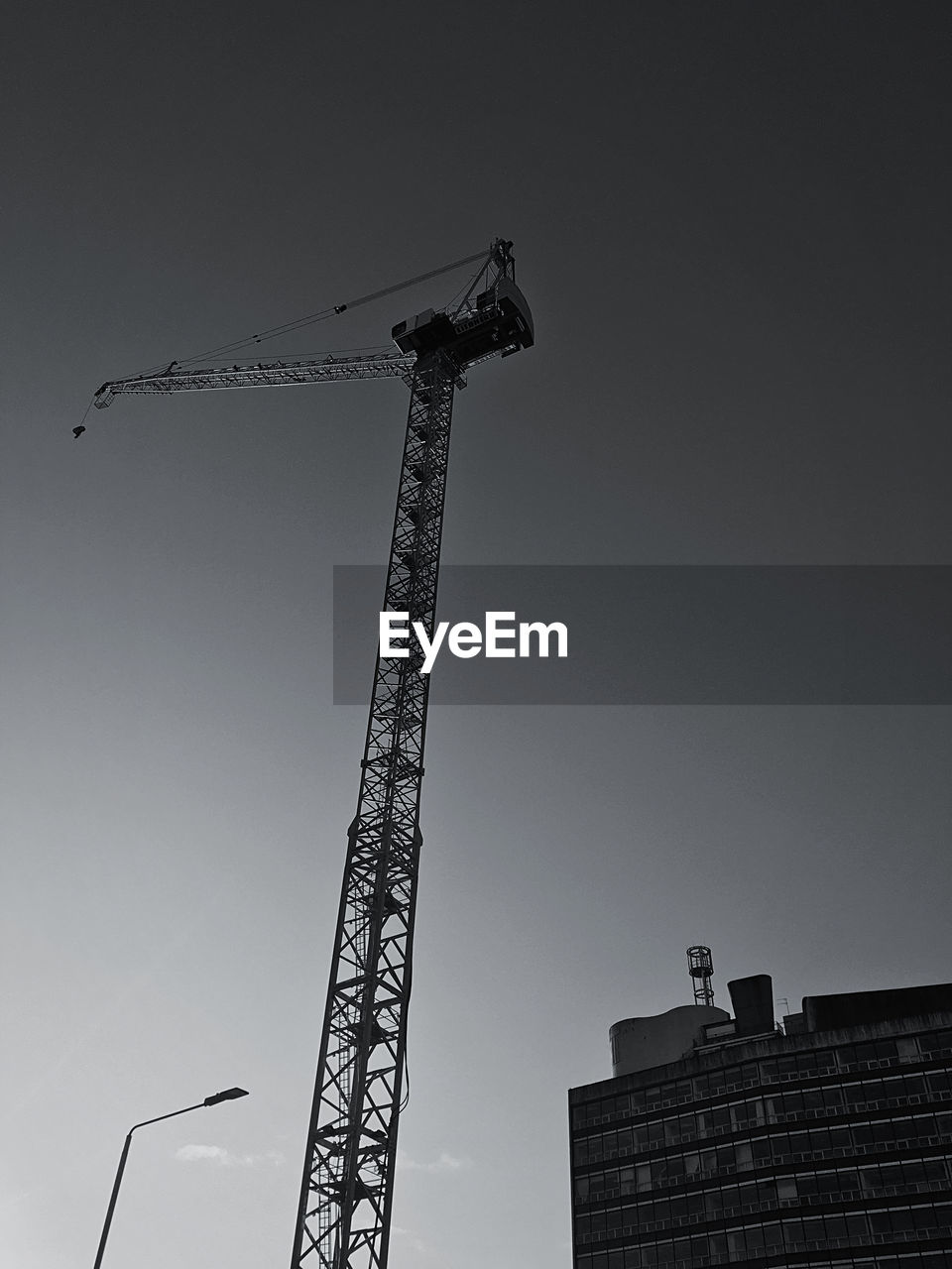 LOW ANGLE VIEW OF CRANE AGAINST SKY