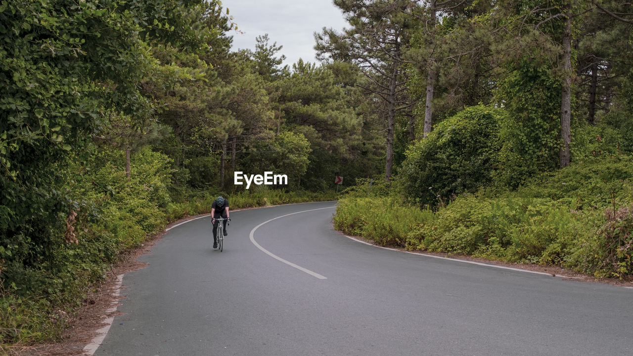 Woodland road, man cycling, winding road