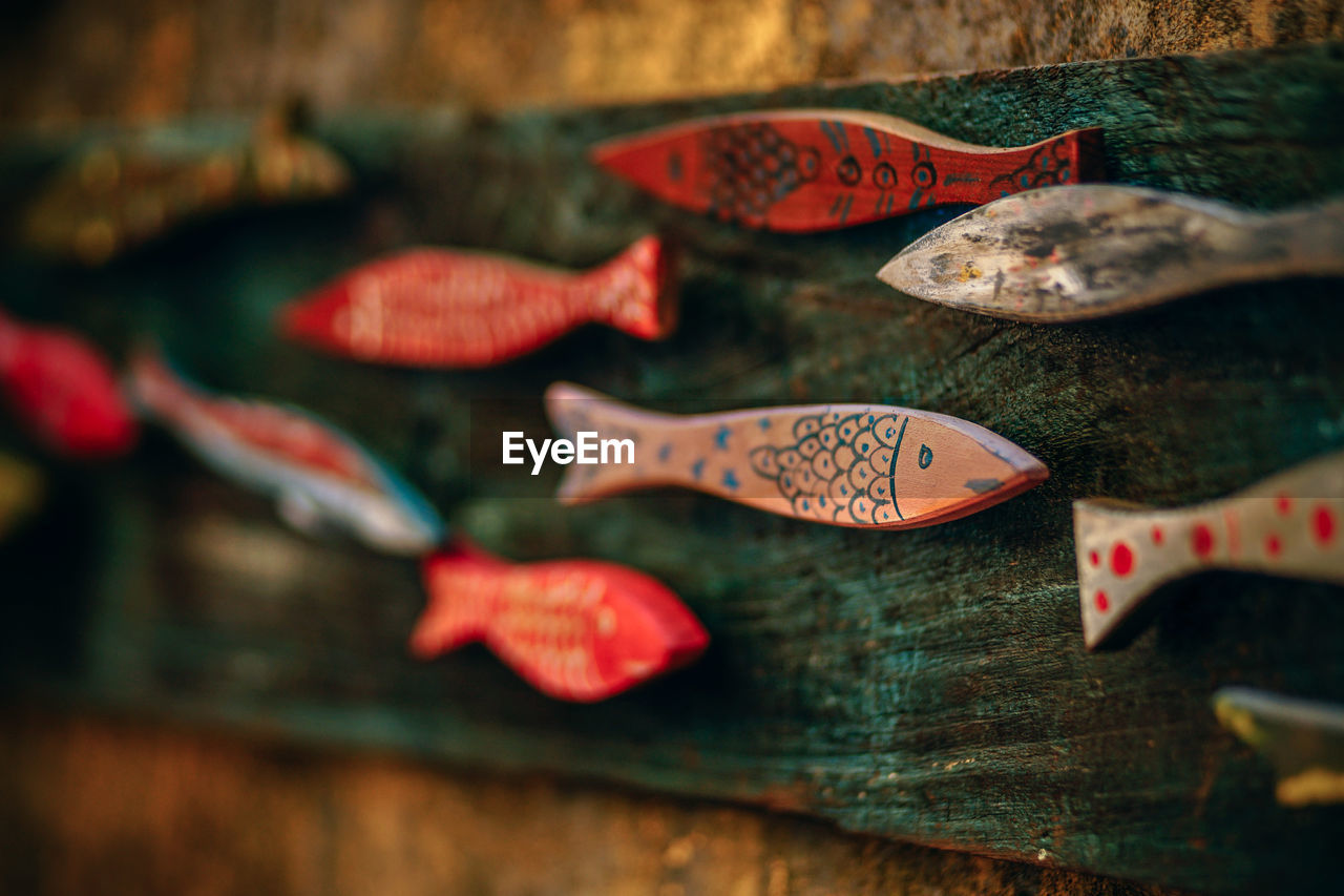 CLOSE-UP OF FISH ON TABLE AGAINST BLURRED BACKGROUND