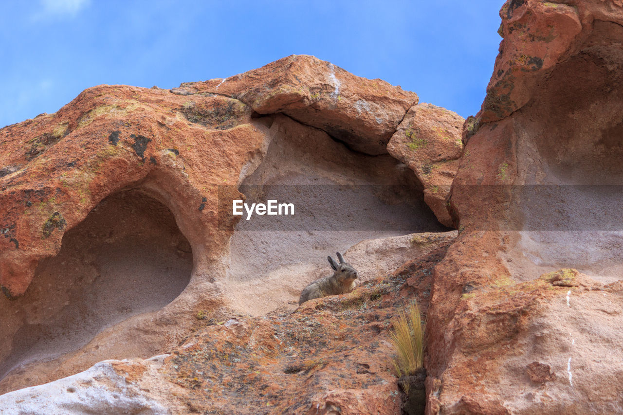 Low angle view of rock formation against sky