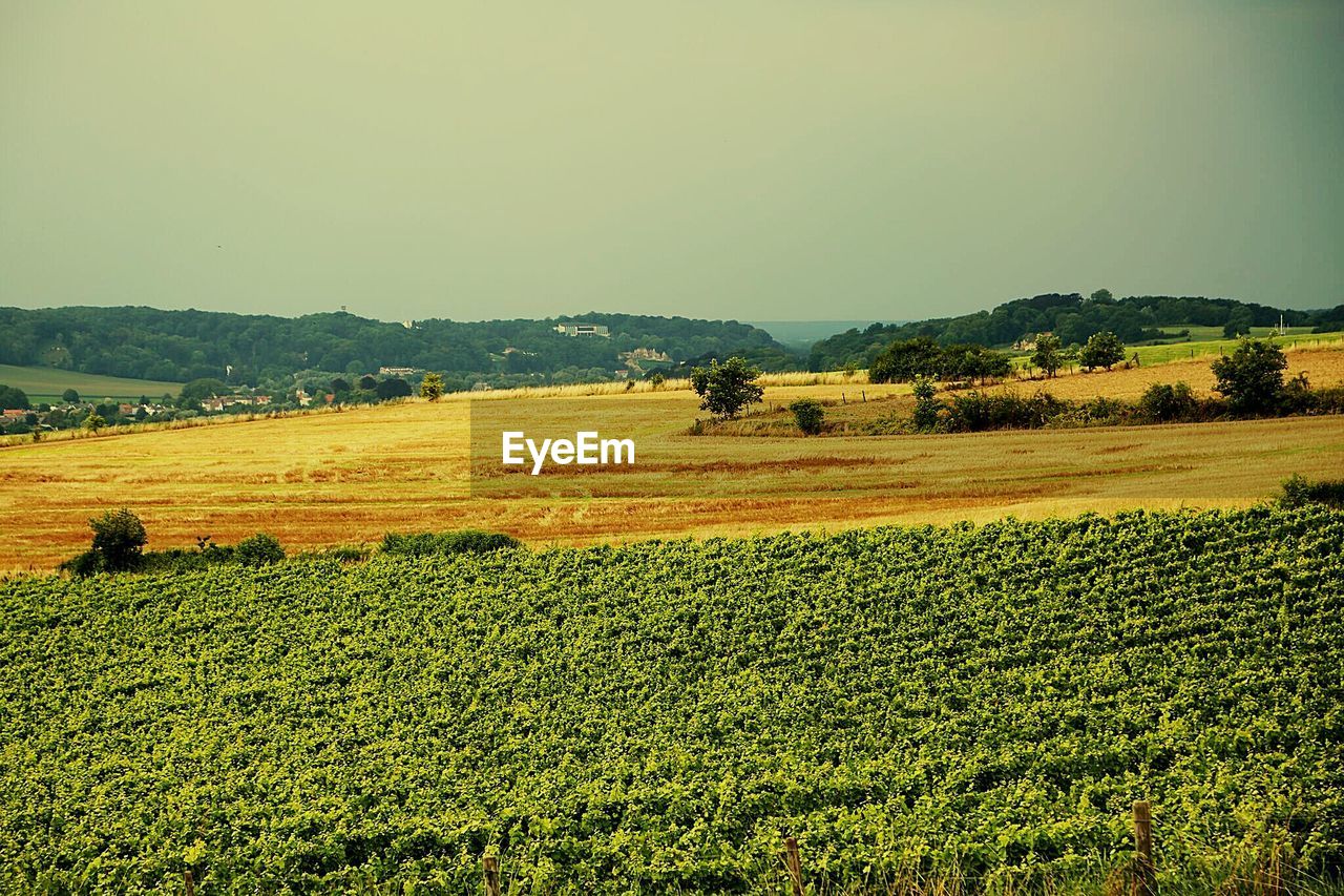 VIEW OF RURAL LANDSCAPE