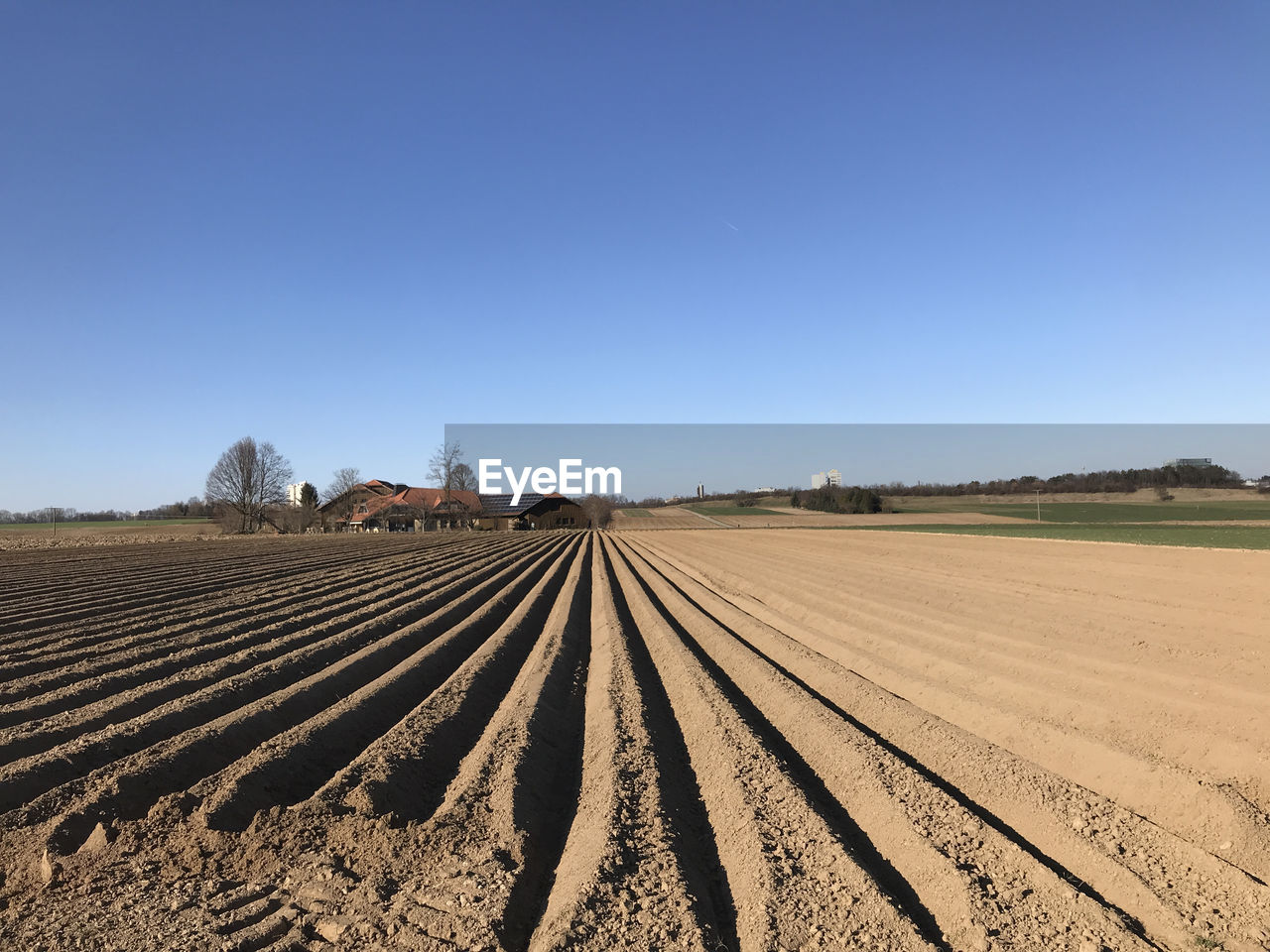 landscape, environment, land, sky, field, horizon, soil, agriculture, plain, nature, rural scene, scenics - nature, clear sky, blue, farm, no people, prairie, sunny, plant, day, crop, rural area, sunlight, outdoors, tranquility, food and drink, food, beauty in nature, copy space, growth, tranquil scene, natural environment, horizon over land, dirt, travel, non-urban scene, steppe