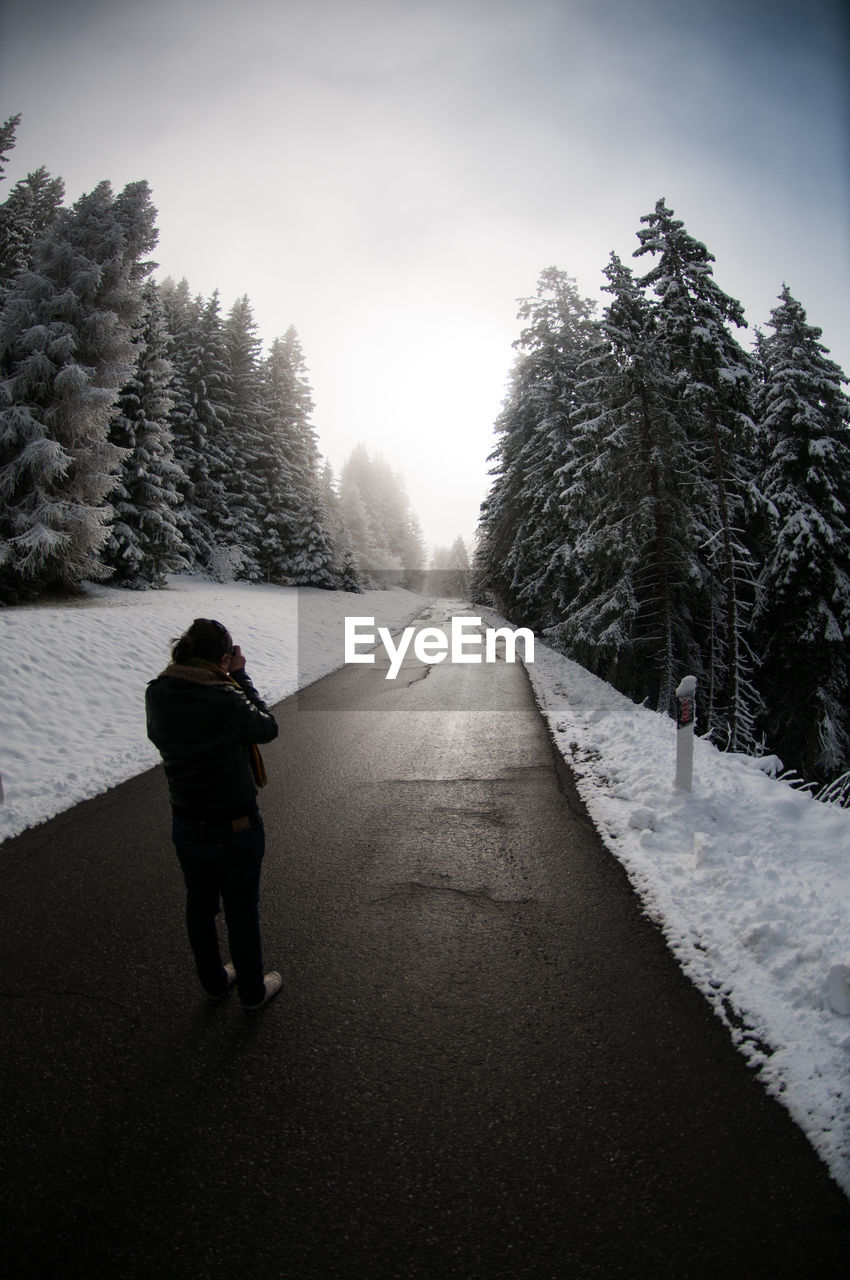 Rear view of man standing on road amidst snow covered pine trees during winter