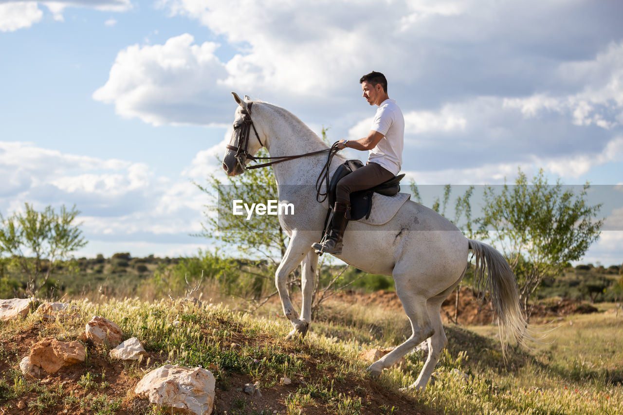 VIEW OF HORSE RIDING ON FIELD