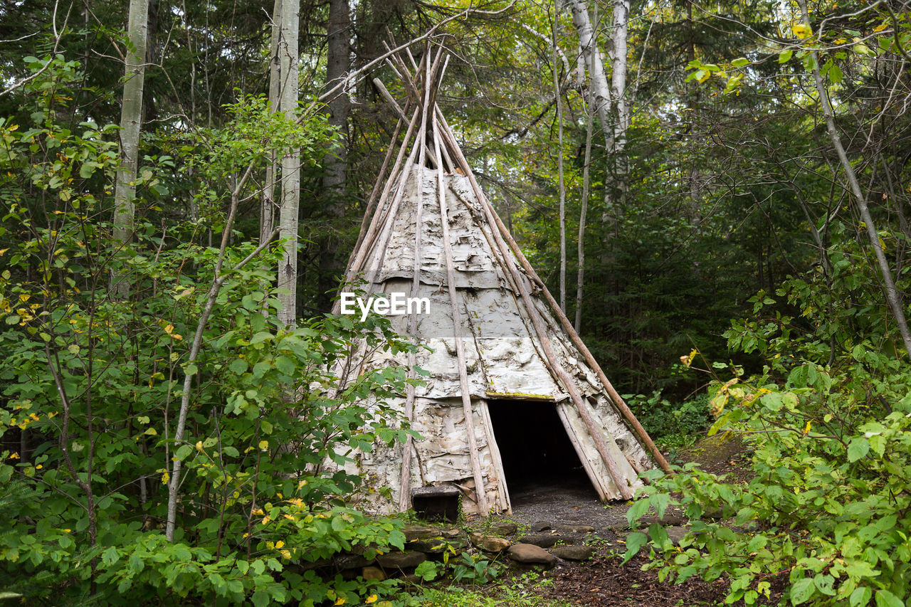 Traditional native micmac bark teepee in gaspé, quebec, canada