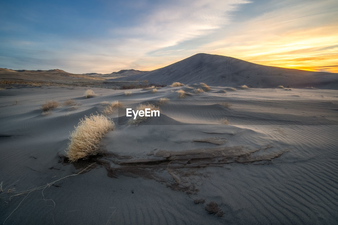 Desolate sand dune in idaho