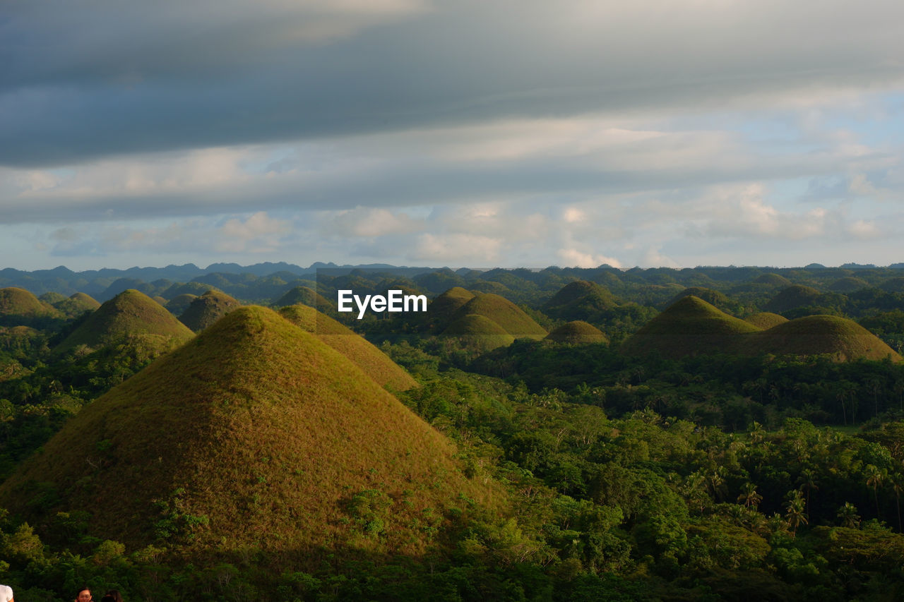 During summer, the hills turn brownish, thus the name, chocolate hills.