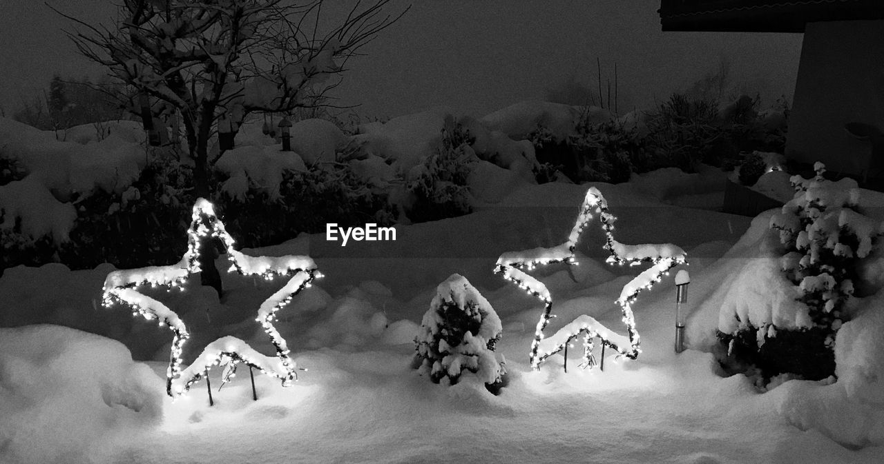 VIEW OF CHRISTMAS TREE IN WINTER