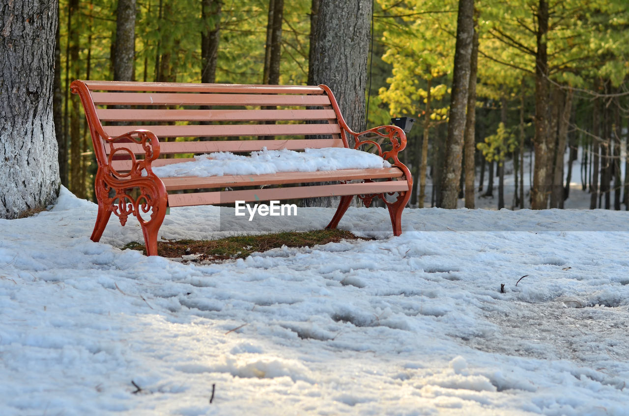 Snow covered landscape in forest