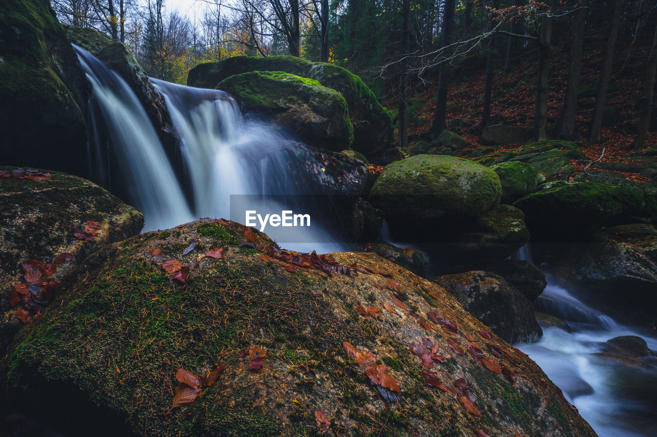 SCENIC VIEW OF WATERFALL