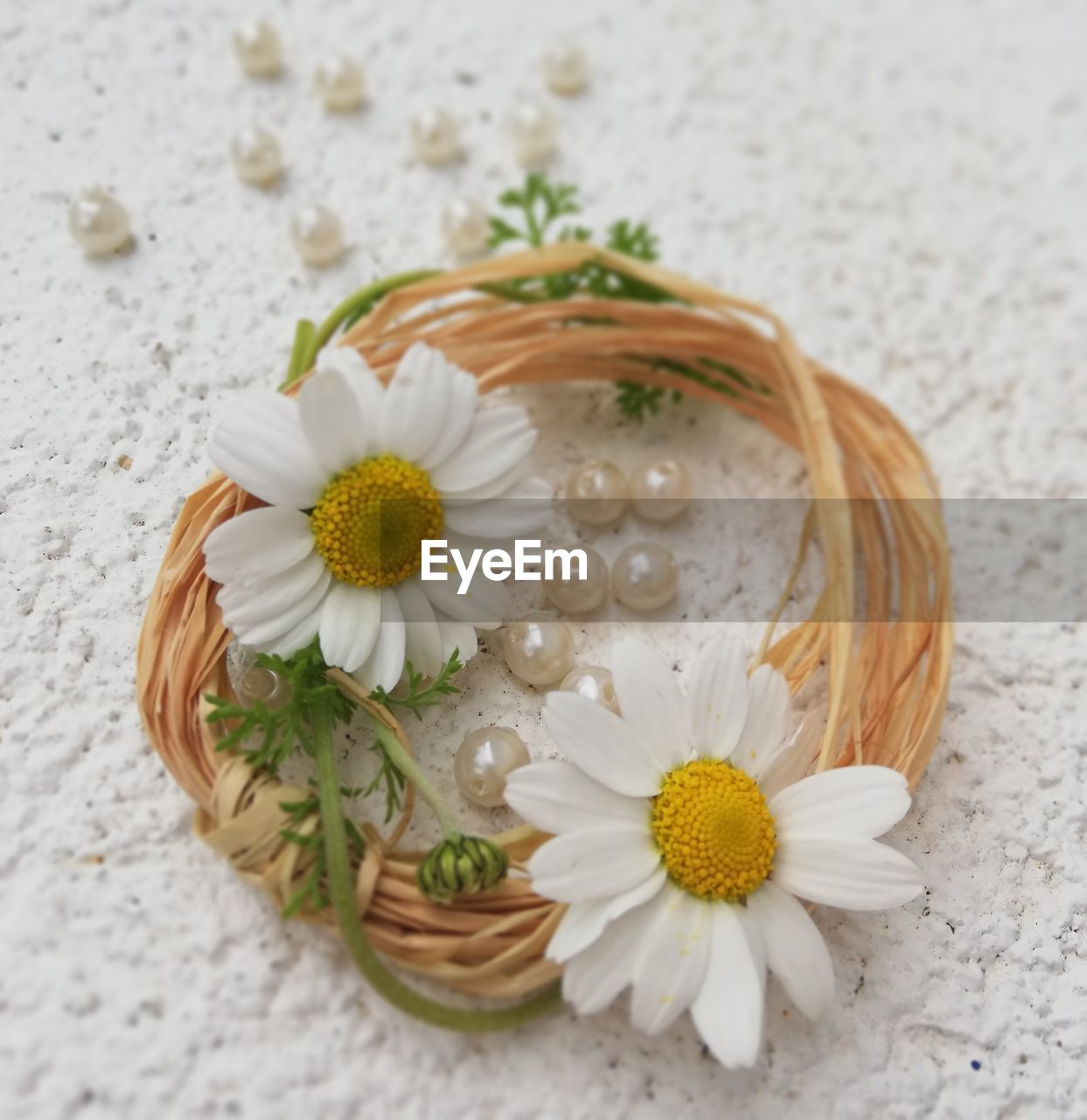 HIGH ANGLE VIEW OF WHITE DAISY FLOWERS ON TABLE