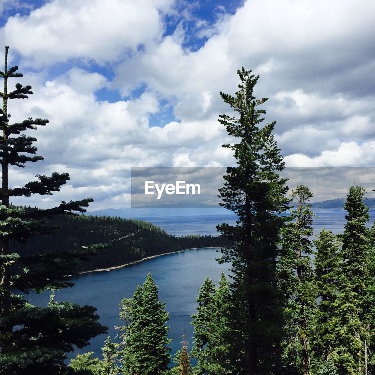 Scenic view of lake tahoe amidst trees against cloudy sky