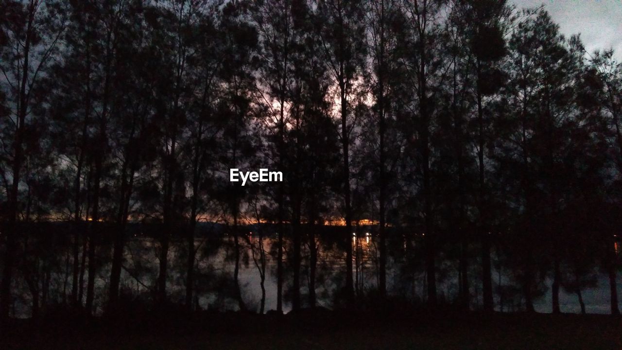 REFLECTION OF SILHOUETTE TREES IN LAKE AT NIGHT