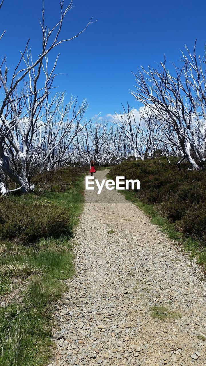 Rear view of woman walking on footpath amidst bare trees