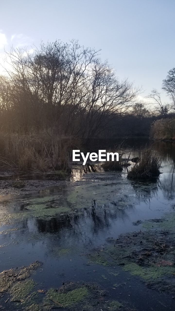 SCENIC VIEW OF RIVER BY TREES AGAINST SKY