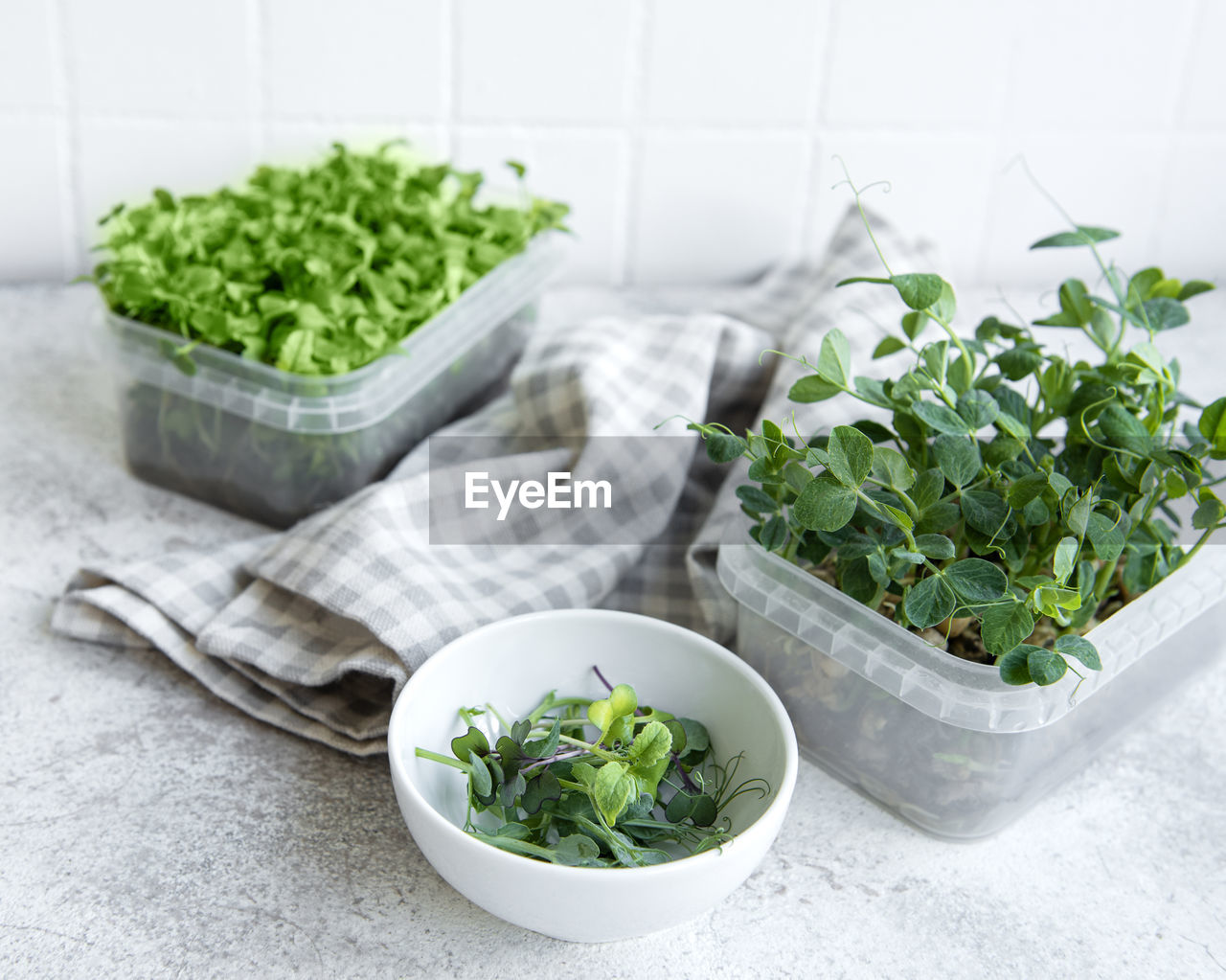 Assortment of micro greens on wooden table. healthy lifestyle