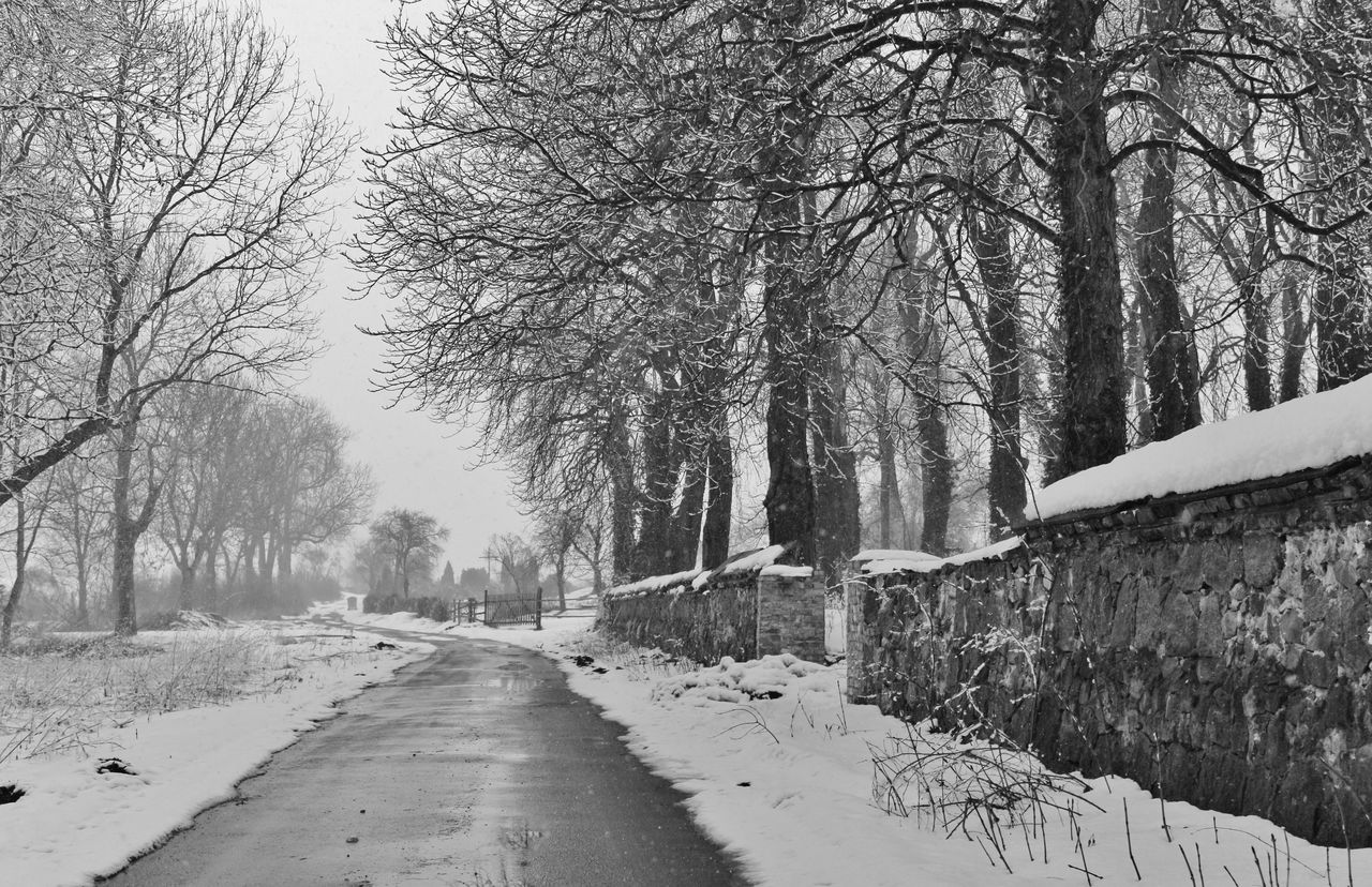 tree, snow, winter, cold temperature, plant, black and white, nature, the way forward, bare tree, monochrome, road, monochrome photography, transportation, no people, day, freezing, beauty in nature, scenics - nature, diminishing perspective, environment, tranquility, branch, frozen, land, tranquil scene, snowing, outdoors, architecture, non-urban scene, vanishing point, sky, blizzard, winter storm, covering, rain and snow mixed, landscape, forest, footpath, deep snow, fog, empty road